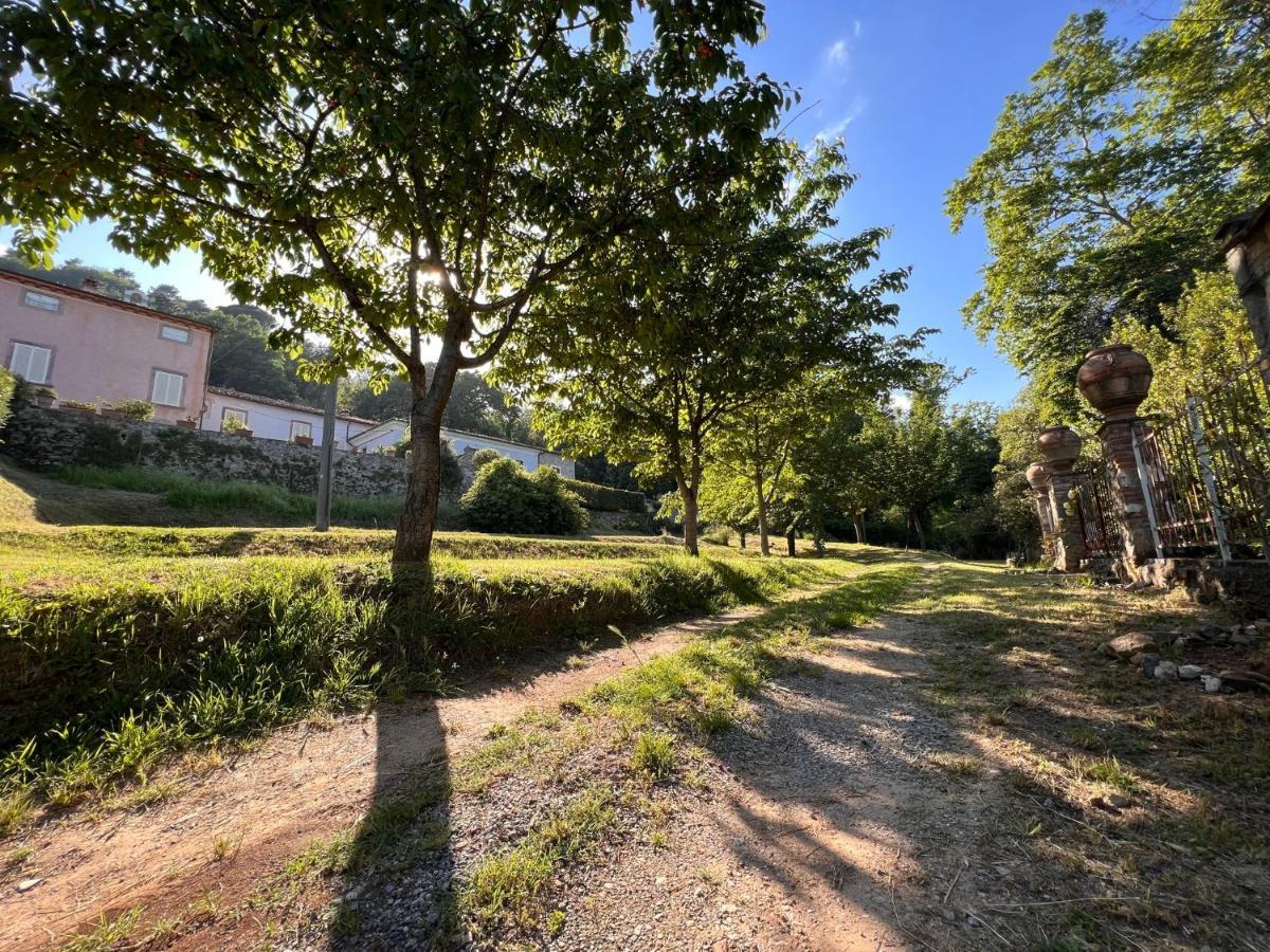 Borgo Al Canto Degli Alberi Лукка Экстерьер фото