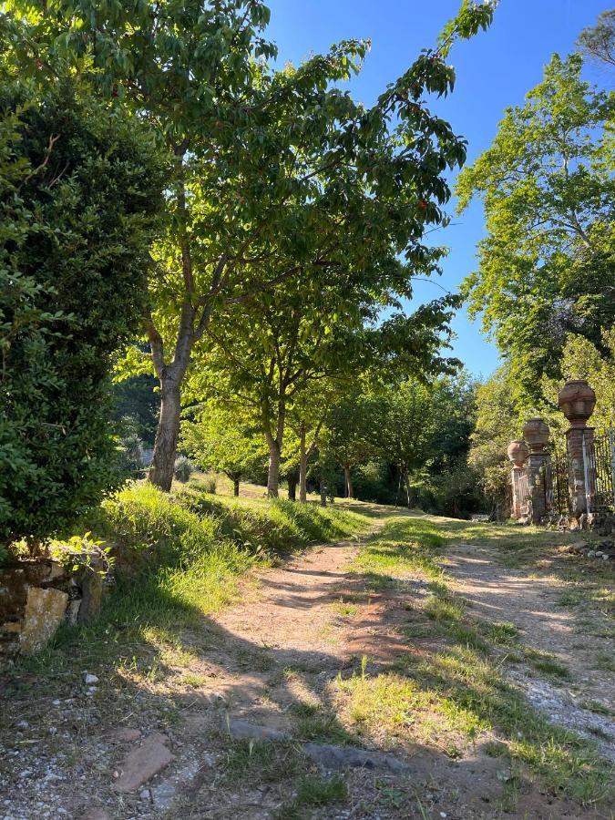 Borgo Al Canto Degli Alberi Лукка Экстерьер фото